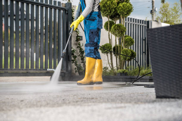 Professional  Pressure Washing Services in Palo, IA
